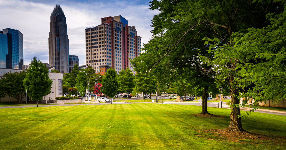 Mooresville NC Tree Contractor Commercial Tree Care in Mooresville - advanced pruning techniques for growth