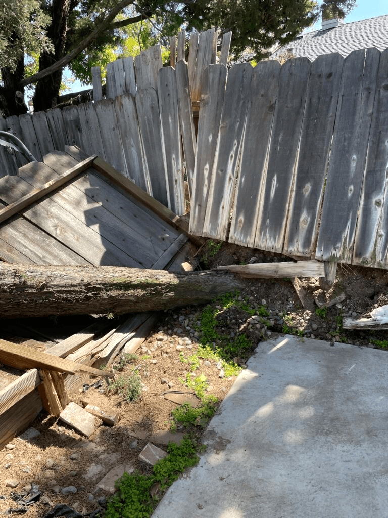 Mooresville NC Tree Contractor Emergency Storm Damage Services in Mooresville - emergency water removal