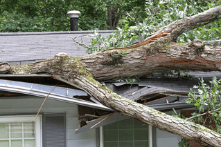 Mooresville NC Tree Contractor Emergency Storm Damage Services in Mooresville - leak repair
