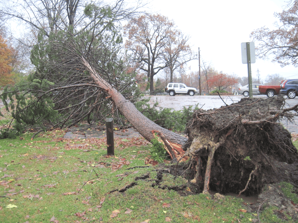 Mooresville NC Tree Contractor Emergency Storm Damage Services in Mooresville - storm damage cleanup