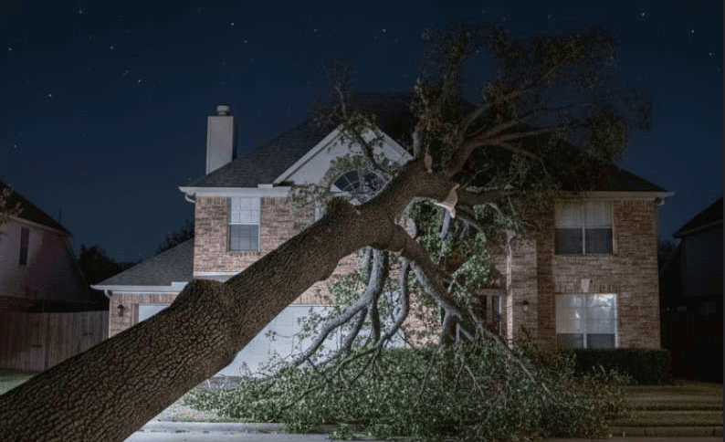 Mooresville NC Tree Contractor Emergency Storm Damage Services in Mooresville - wind damage repair