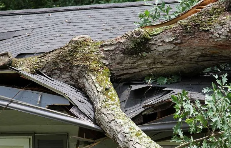 Mooresville NC Tree Contractor Emergency Tree Services in Mooresville - storm damage cleanup