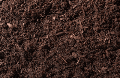 Mooresville NC Tree Contractor Mulch And Wood Chip Delivery in Mooresville - low-maintenance garden cover